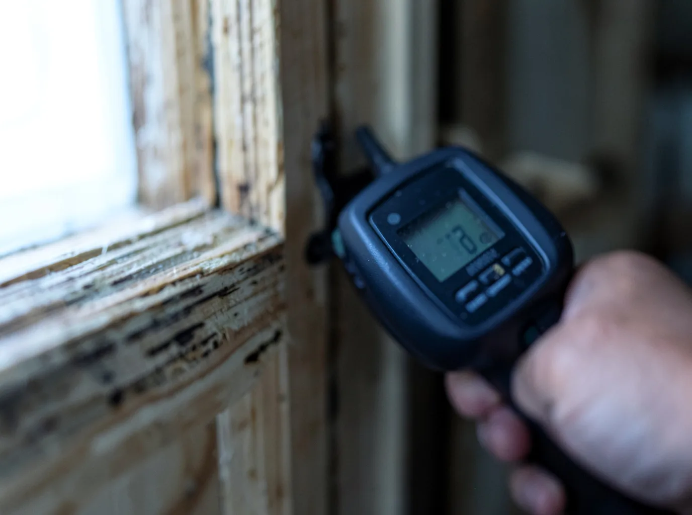 Water Damage Restoration Laurel Bloomery, TN FAQs